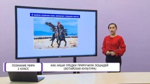 Как наши предки приручили лошадей Ботайская культура