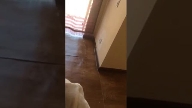 Эмирхан дома один был..маме видео отправляет смотреть онлайн