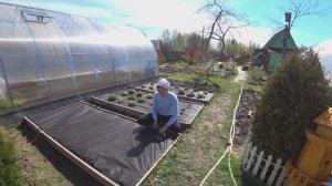 6 соток 10 мая 2025 года. Хроника. Покрываем клубнику спанбондом..