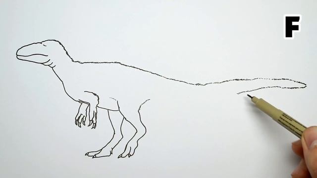 How to Draw Fukuiraptor Step by Step | Drawing and Coloring смотреть онлайн