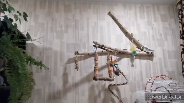 СТЕНД ДЛЯ ПОПУГАЕВ НАВЕСНОЙ смотреть онлайн