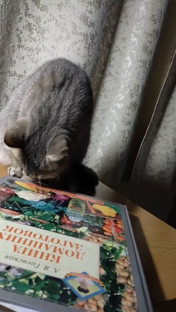 Барса хочет подобрать рецепт для консервирования, но не может открыть книгу смотреть онлайн