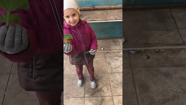 Рима кормит кошек смотреть онлайн