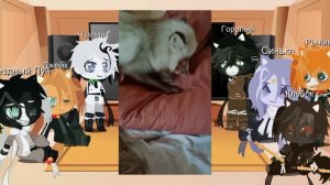 –·Реакция котов - воителей на тик ток и себя.:3·–//❤️// Буранчик