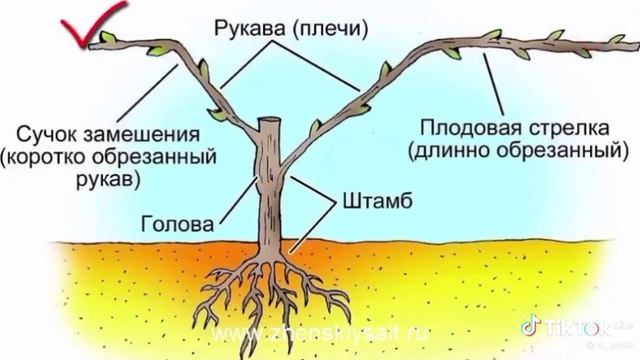 21 апреля 2023 г. смотреть онлайн