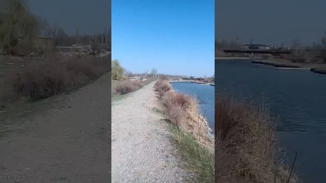 Г.Тараз просьба смотреть онлайн