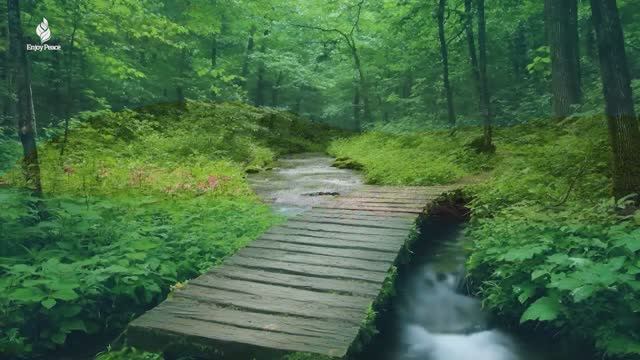 Успокаивающая, расслабляющая музыка снимает стресс и помогает не думать слишком много. смотреть онлайн