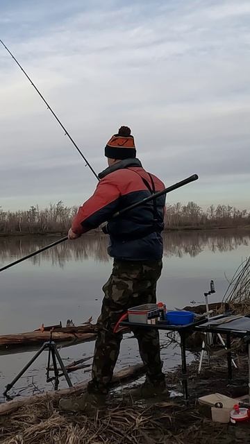 первая поклевка и рыба 2025 #фидер #рыбалка #рыбалканафидер #поклевканафидер смотреть онлайн