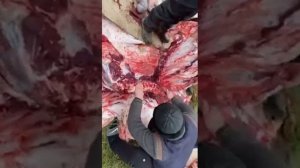 Тест Кизлярского ножа по мясу
