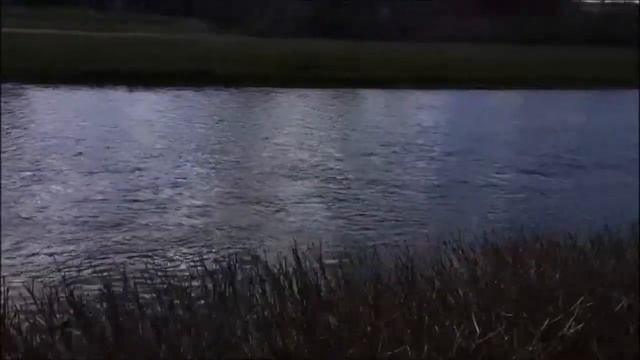 Предновогодний Сан в Пшемысле Одинокий лебедь на Сане New Year's Eve in Przemysl Lonely swan on Sa смотреть онлайн