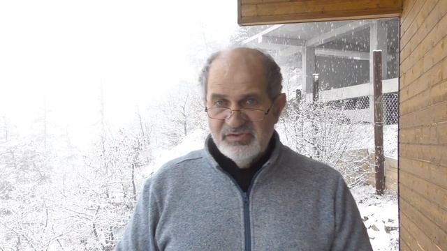 Грузия. Становлюсь немного грузином. Получил ИНН и зарегистрировал ИП смотреть онлайн