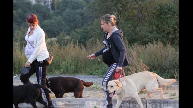 Попутчица... смотреть онлайн