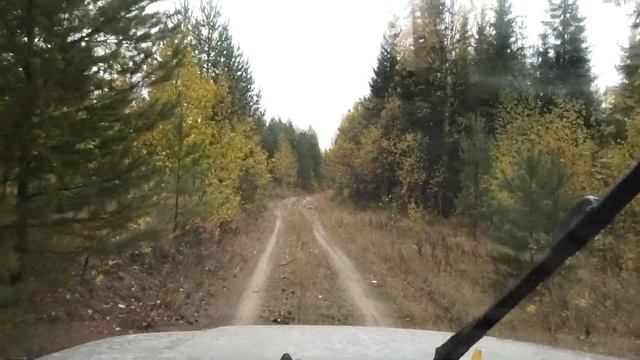 Было страшно, но я это сделал!!!Дорога до Урочища. смотреть онлайн