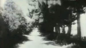 Исторические хроники 1925 года с Николаем Сванидзе - Сергей Есенин