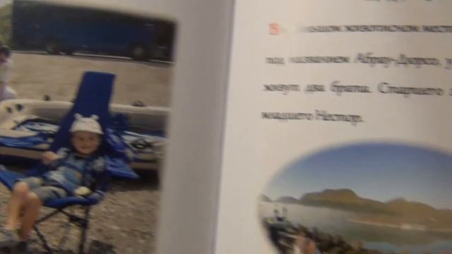 Полный обзор книги про Нестора смотреть онлайн