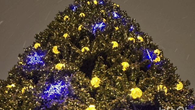 Покатушка на велосипеде в день зимнего солнцестояния