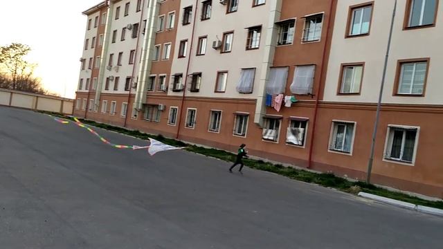 Воздушный змей пытается вырваться, и ворваться в чью-то жизнь смотреть онлайн