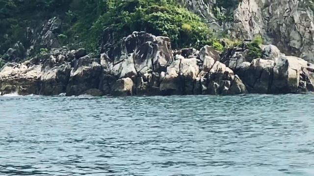 Hap Mun Bay Beach @Sai Kung #beach смотреть онлайн