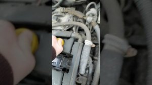 Проверяем мембрану клапанной крышки. Опель Астра  Н.Изношеная мембрана.