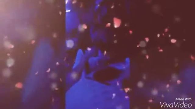 Ваня и Лиза💕💋💋 смотреть онлайн