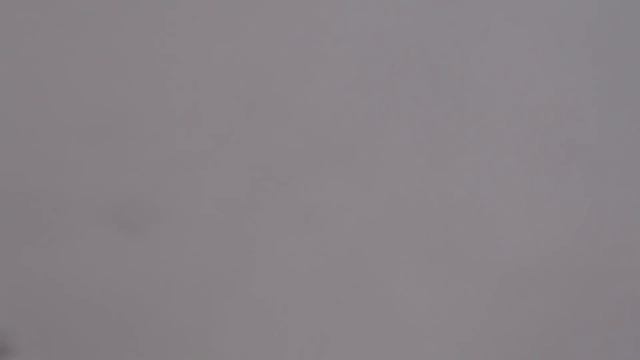 Как не нужно приучать голубей к снегу. смотреть онлайн