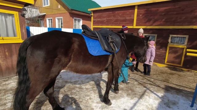 Конный дворик "Огонёк" смотреть онлайн
