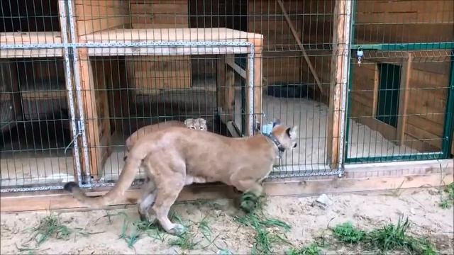 А если это любовь смотреть онлайн