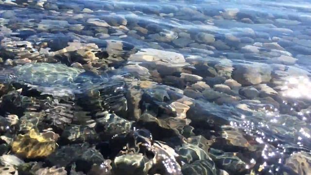 Black sea shore смотреть онлайн