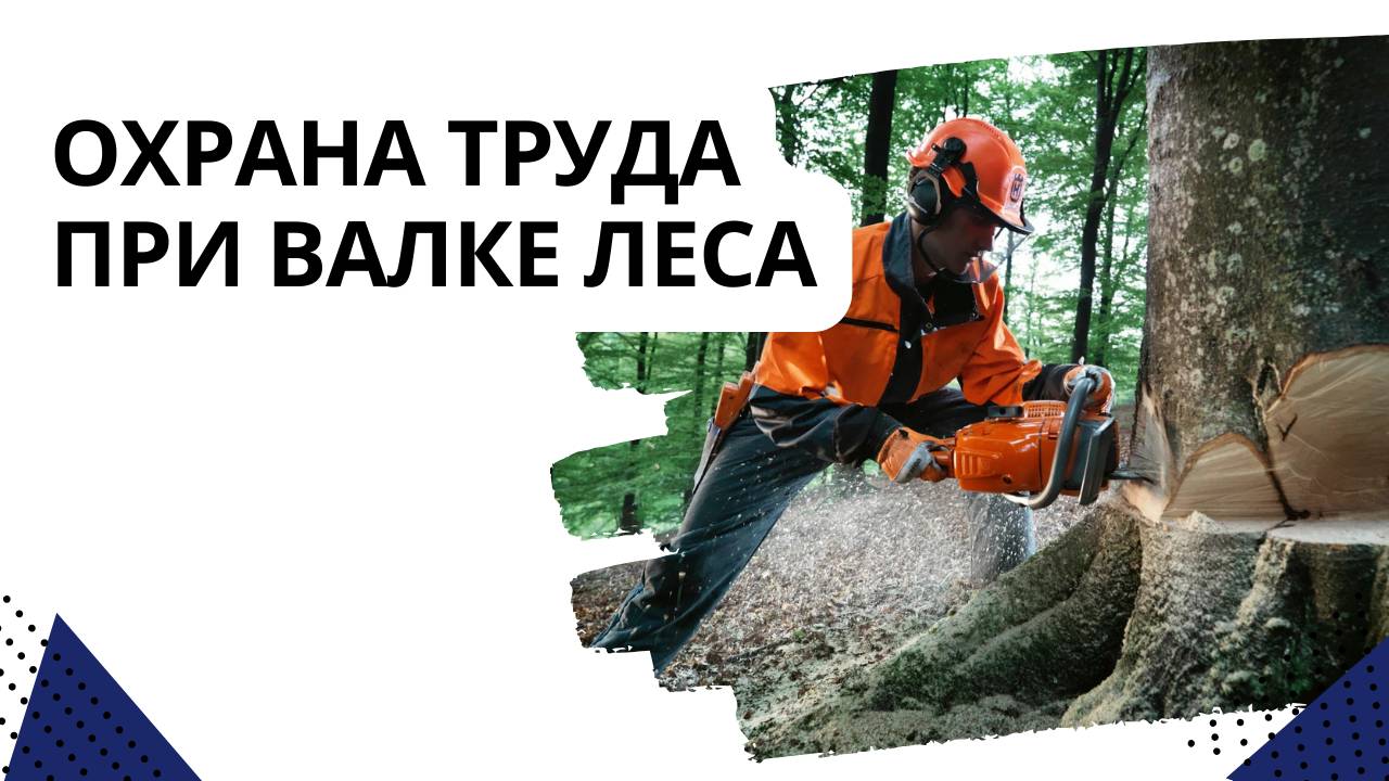 Охрана труда при валке леса
