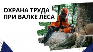 Охрана труда при валке леса