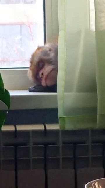 я дома с любимыми смотреть онлайн