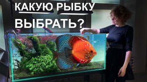 Каких рыбок можно поселить в аквариум | Обзор аквариумов |