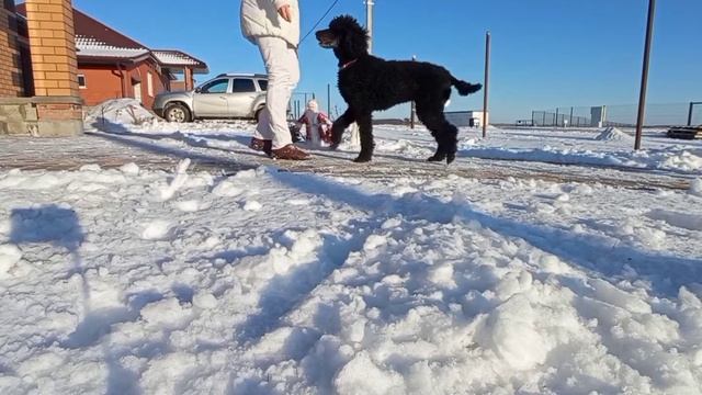 Люша, испанский шаг смотреть онлайн