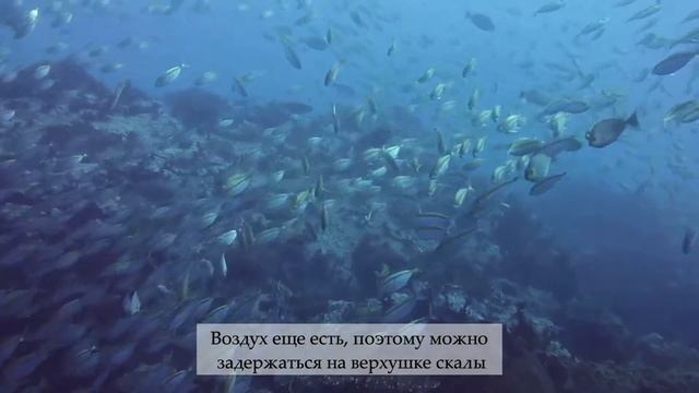 Убираем брошенную рыболовную сеть на дайвинге в Таиланде смотреть онлайн