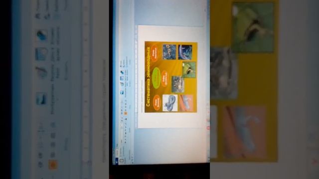 как добавить изображение в презинтацию смотреть онлайн