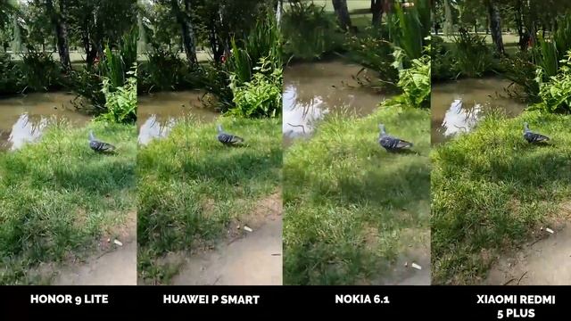 Který mobil točí nejlepší videa? Honor 9 Lite vs Huawei P Smart vs Nokia 6.1 vs Xiaomi Redmi 5 Plus смотреть онлайн