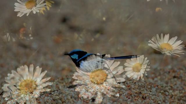 Prayer - You gave me a new song - Psalm 40 смотреть онлайн