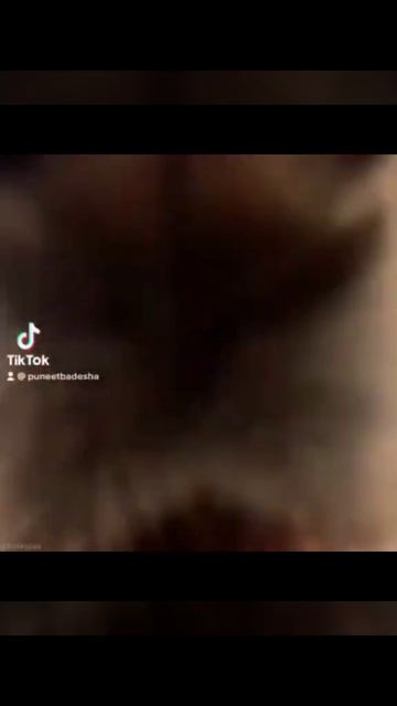 Хаски играет на кровати с пальчиком 🖕🤣
милые глазки щенка
#собака#сибирский хаски#собаки смотреть онлайн