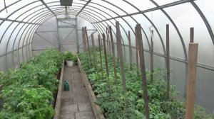 ПРИНУДИТЕЛЬНЫЙ подогрев грунта в теплице для ранней высадки томатов.