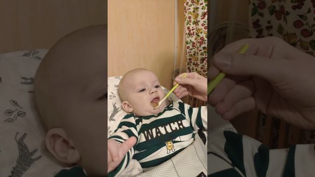 Кушаем кабачок смотреть онлайн