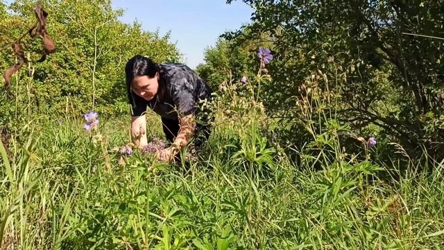 Моя природа🌿🍃 Алтай прекрасен 🏞 смотреть онлайн