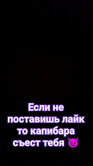 #хочуврек #видеодлядетей #басик #реборн #котик #капибара смотреть онлайн