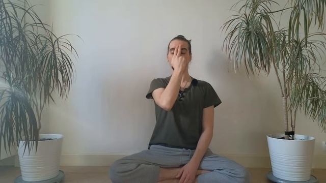 Пранаяма и медитация смотреть онлайн