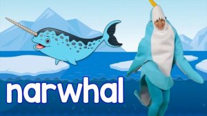 Развивающие песни для детей | bounce patrol