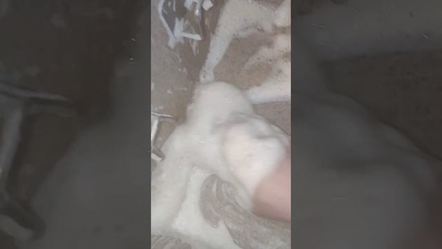 Мою раковину Cif с хлором /чистин /жидкое хозяйственное мыло Asmr🤤cleantok🪥 Cleaning💩amazing🤩babl 💨