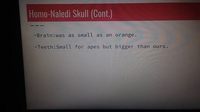 Homo-Naledi смотреть онлайн