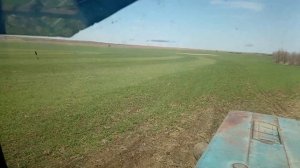 боронование озимой пшеницы мтз 80