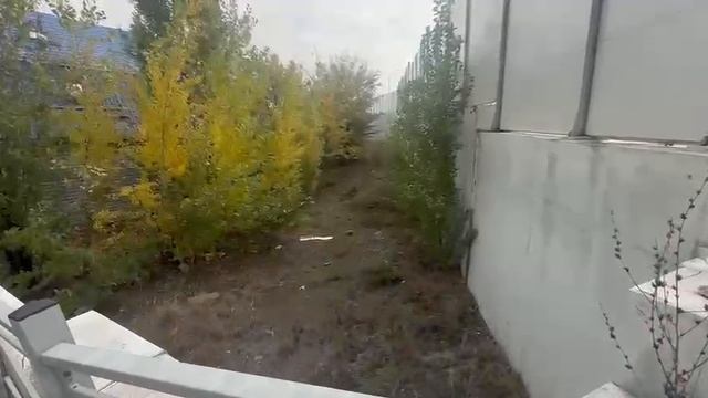 6813230 смотреть онлайн