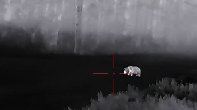 Охота с тепловизором Медведь смотреть онлайн