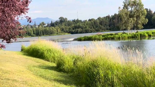 Day 3&4 of sis-in-law family visit @Anchorage Alaska|| Rita life vlog смотреть онлайн